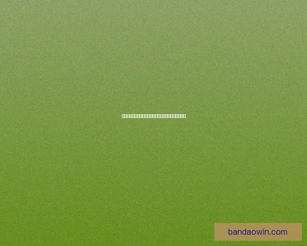 半岛体育平台：全面解析体育赛事直播与用户互动新趋势