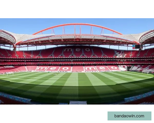 半岛体育官方登录入口全面指南助你轻松注册与使用平台